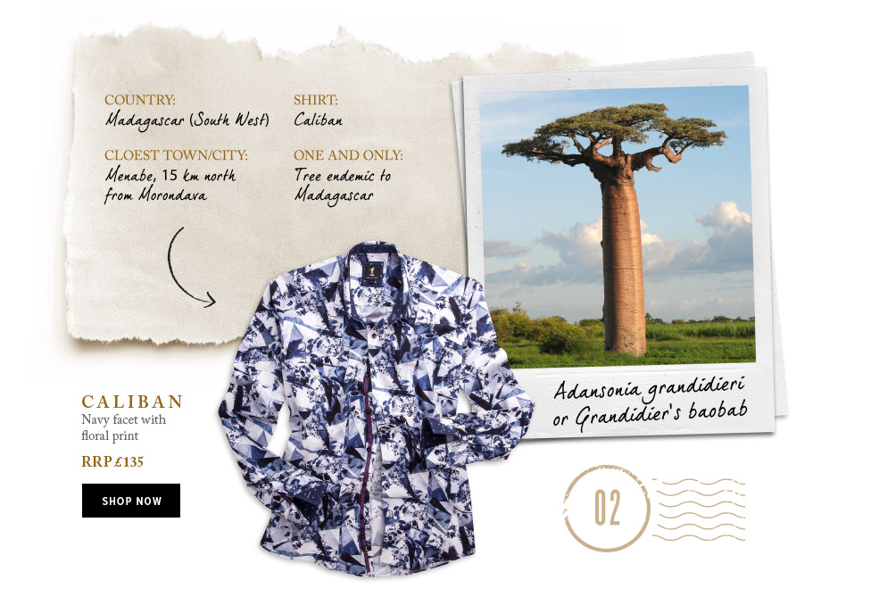 CALIBAN PRINT SHIRT